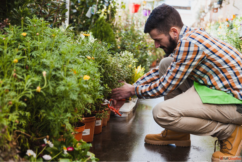 Professional Gardening Services in Pune Expert Garden Care