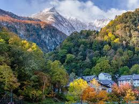 Japan Tour Packages From India For Slow Travel And Peaceful Exploration