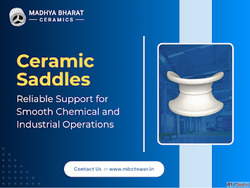 Top-Quality Ceramic Saddles for Enhanced Mass Transfer Perfo...