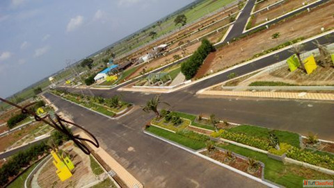 Should I buy land in Noida