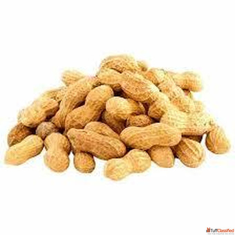 Best Groundnut Oil Suppliers in West Bengal