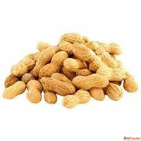 Best Groundnut Oil Suppliers in West Bengal