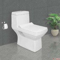 Best one piece Closet Ceramics Suppliers in Ahmedabad