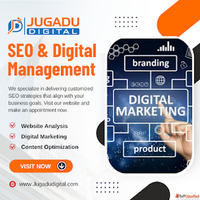 Looking for the Best SEO Company in Lucknow Here's Your...