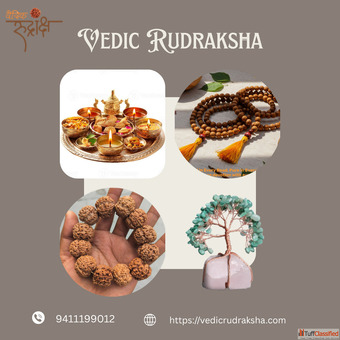 Discover the Divine Power of Pure Rudraksha Beads in Haridwar