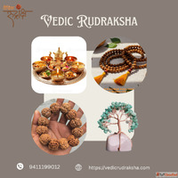 Discover the Divine Power of Pure Rudraksha Beads in Haridwa...