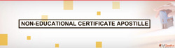 Non Education Certificate