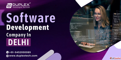 Secure and Scalable Web Software Development Company in Delhi