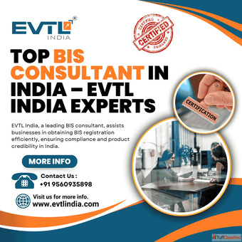 Professional BIS Consultant Services by EVTL India