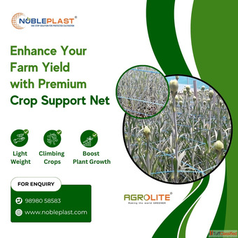 Enhance Your Farm Yield with Premium Crop Support Net