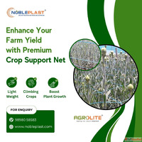 Enhance Your Farm Yield with Premium Crop Support Net