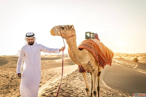 Explore Dubai's Culture with Best Tour Operator in Dubai