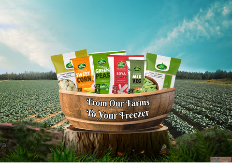 Pal Frozen Foods - Premium Frozen Food Products Available