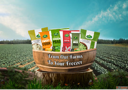 Pal Frozen Foods - Premium Frozen Food Products Available