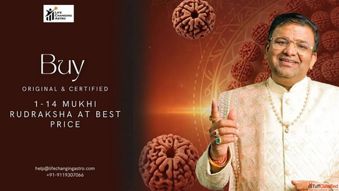 Buy Original Certified 1 to 14 Mukhi Rudraksha at Best Price