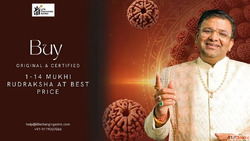 Buy Original Certified 1 to 14 Mukhi Rudraksha at Best Price