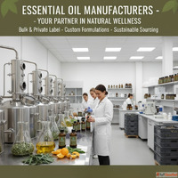 Choosing the Best Essential Oil Manufacturers for Quality an...