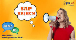 Best SAP HR HCM Online Training in Hyderabad Igrowsoft