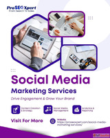 Expand Your Online Presence with Professional Social Media M...
