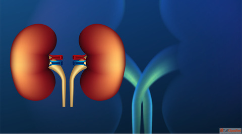 Effective Kidney Failure Treatment in Homeopathy for Natural Recovery