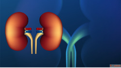 Effective Kidney Failure Treatment in Homeopathy for Natural...