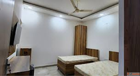 Need PG Services in Janakpuri