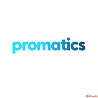 Web Development Services I Promatics Technologies