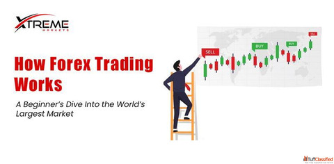 How Forex Trading Works A Beginner's Dive Into the World's Largest Market