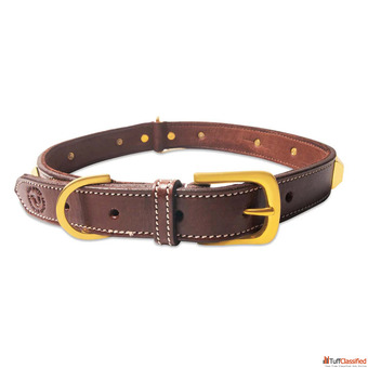 Why a Leather Dog Collar Is a Smart Choice for Your Pet