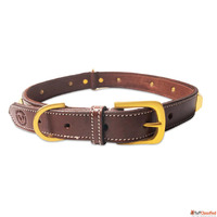 Why a Leather Dog Collar Is a Smart Choice for Your Pet