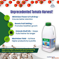 Enhance Crop Performance with NACL's Plant Growth Regul...