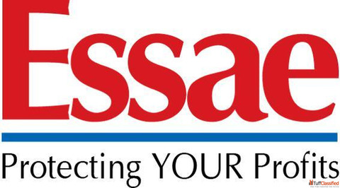 Essae Digitronics - Trusted Weighbridge Weighing Solutions Manufacturer in India