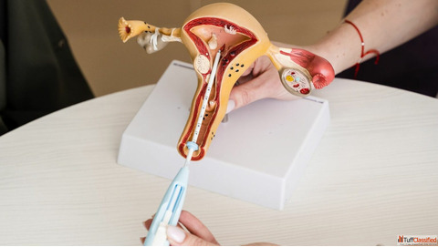 Affordable IUI Treatment in Mumbai Trusted Fertility Experts at Womb IVF