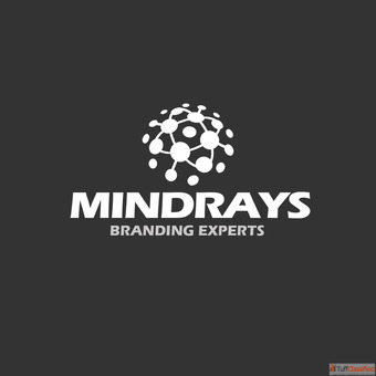 MindRays - Best Digital Marketing Agency in Delhi