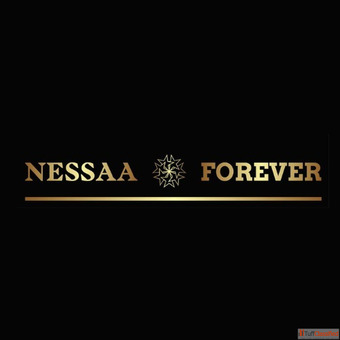 Premium Liquid Lipstick Liquid for Quality Cosmetic Formulation