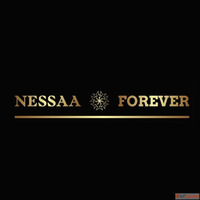 Premium Liquid Lipstick Liquid for Quality Cosmetic Formulat...