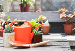 Best Tips for Gardening at Home - Start Your Green Space Eas...