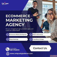 Transform Your Online Business with Unique Digital Brains