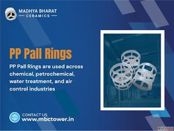 Reliable PP Pall Rings for Industrial Applications in Mandsa...