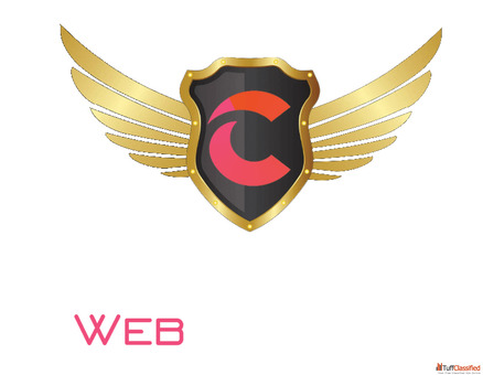 Best Website Design Near Me Cheap Website Development