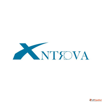 digital marketing company in dwarka