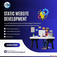Website Development Services in Faridabad-Toyavi Technology