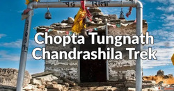 Chopta Tungnath Chandrashila Trek