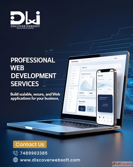 Professional Website Development Services in Indore