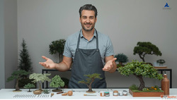 How to Craft High-Quality Realistic Trees for Dioramas Model...