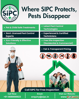 Pest Control Services in Guwahati Best Affordable Pest Control SIPC