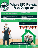 Pest Control Services in Guwahati Best Affordable Pest Contr...