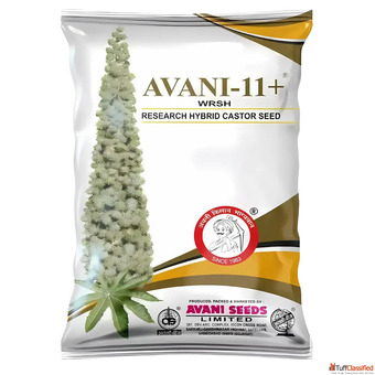 Premium Castor Seeds Supplier Across India