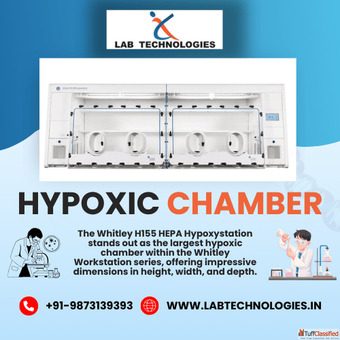 Buy Premium Hypoxic Chamber by Lab Technologies