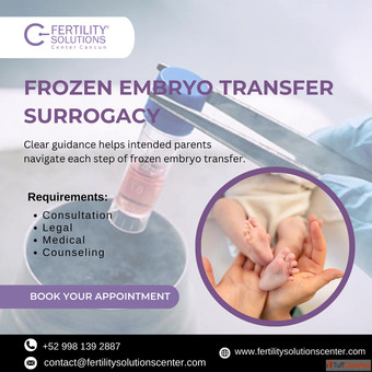 Frozen Embryo Transfer Surrogacy